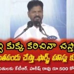 సీఎం రేవంత్ రెడ్డి :పిచ్చి కుక్క కరిచినా చస్తారు..ఒళ్ళు చింతపండు చేస్తా….